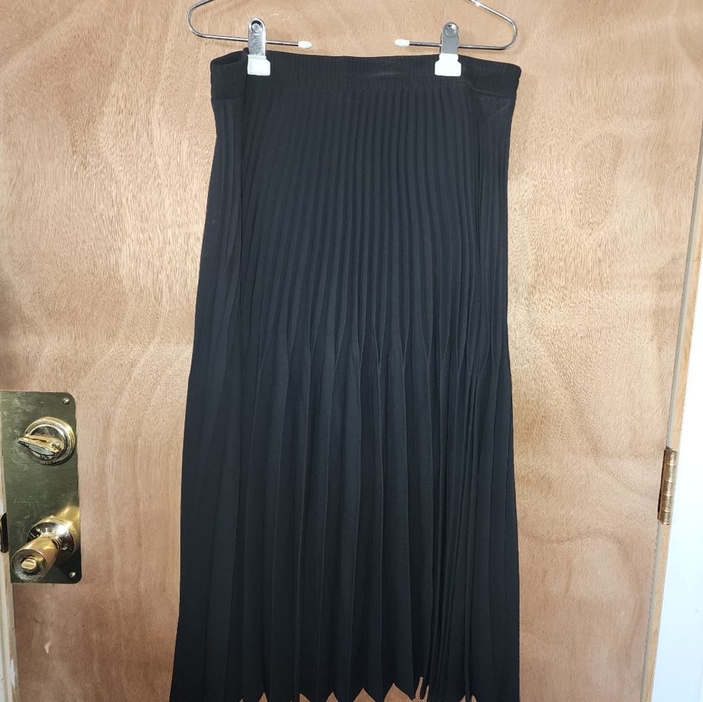 Max Studio pleated skirt NET